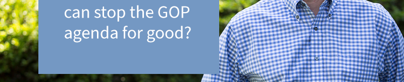 the Senate blue in 2026 so we can stop the GOP agenda for good?

