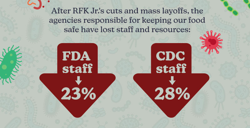 Our food safety net is shrinking.

After RFK Jr's cuts and mass layoffs, the agencies responsible for keeping our food safe have lost staff and resources:

FDA staff ↓ 23% 

CDC staff ↓ 28%